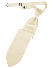 Load image into Gallery viewer, Cardi Pre-Tied Sand Herringbone Necktie