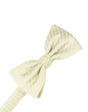 Load image into Gallery viewer, Cardi Pre-Tied Ivory Palermo Bow Tie