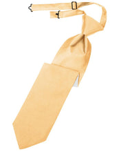 Load image into Gallery viewer, Cardi Pre-Tied Apricot Luxury Satin Necktie