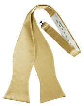 Load image into Gallery viewer, Cardi Self Tie Harvest Maize Luxury Satin Bow Tie