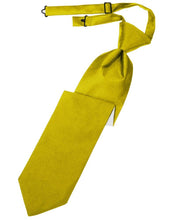 Load image into Gallery viewer, Cardi Pre-Tied Willow Luxury Satin Necktie
