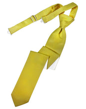 Load image into Gallery viewer, Cardi Pre-Tied Willow Luxury Satin Skinny Necktie