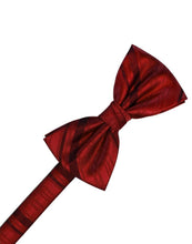 Load image into Gallery viewer, Cardi Pre-Tied Apple Striped Satin Bow Tie