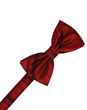 Load image into Gallery viewer, Cardi Pre-Tied Apple Striped Satin Bow Tie