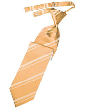Load image into Gallery viewer, Cardi Pre-Tied Apricot Striped Satin Necktie