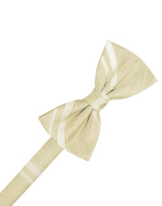 Cardi Pre-Tied Bamboo Striped Satin Bow Tie