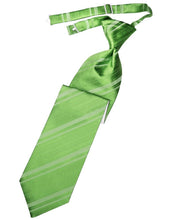 Load image into Gallery viewer, Cardi Pre-Tied Kelly Striped Satin Necktie