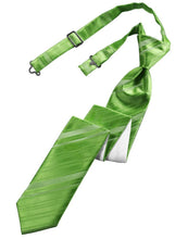 Load image into Gallery viewer, Cardi Pre-Tied Kelly Striped Satin Skinny Necktie