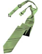 Load image into Gallery viewer, Cardi Pre-Tied Sage Striped Satin Skinny Necktie