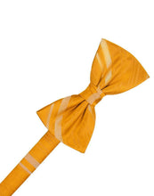 Load image into Gallery viewer, Cardi Pre-Tied Tangerine Striped Satin Bow Tie