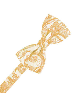 Cardi Pre-Tied Apricot Tapestry Bow Tie