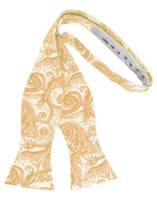 Load image into Gallery viewer, Cardi Self Tie Apricot Tapestry Bow Tie