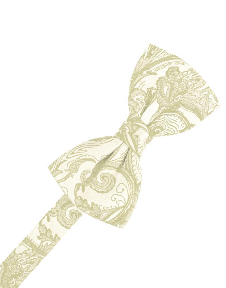 Cardi Pre-Tied Ivory Tapestry Bow Tie