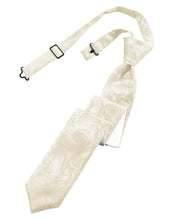 Load image into Gallery viewer, Cardi Pre-Tied Ivory Tapestry Skinny Necktie