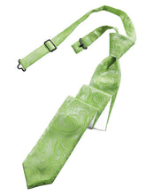 Load image into Gallery viewer, Cardi Pre-Tied Kelly Tapestry Skinny Necktie