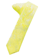 Load image into Gallery viewer, Cardi Self Tie Lemon Tapestry Skinny Necktie