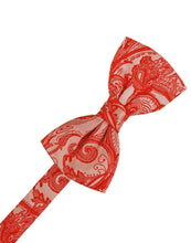 Load image into Gallery viewer, Cardi Pre-Tied Persimmon Tapestry Bow Tie