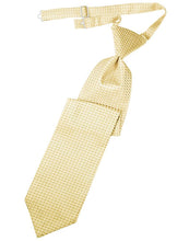 Load image into Gallery viewer, Cardi Pre-Tied Harvest Maize Venetian Necktie