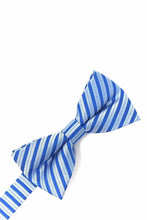 Load image into Gallery viewer, Cardi Pre-Tied Blue Newton Stripe Bow Tie