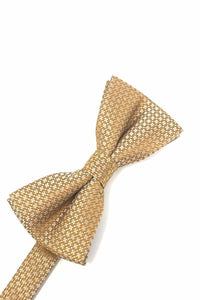 Cardi Pre-Tied Gold Regal Bow Tie