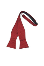 Load image into Gallery viewer, Cardi Self Tie Red Regal Bow Tie