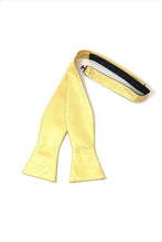 Load image into Gallery viewer, Cardi Self Tie Harvest Maize Regal Bow Tie