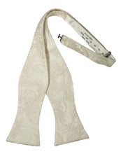 Load image into Gallery viewer, Cristoforo Cardi Self Tie Ivory Paisley Silk Bow Tie